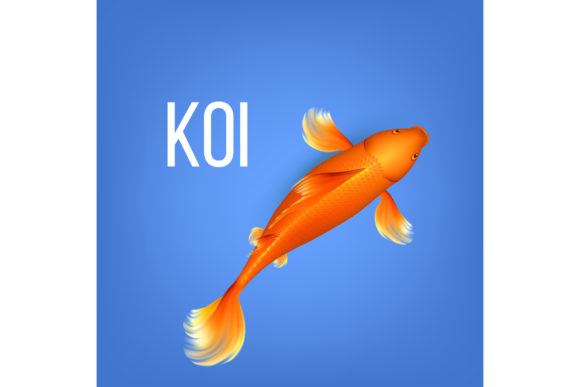 Asian Decorative Orange Koi Golden Fish