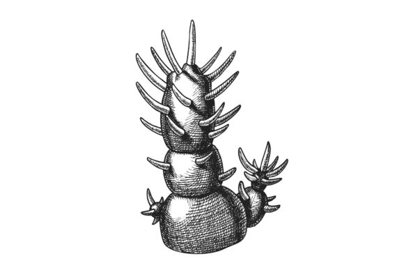 Decorative Houseplant Cactus Hand Drawn